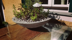 Schale aus beton mit 
Kräuter bepflanzt